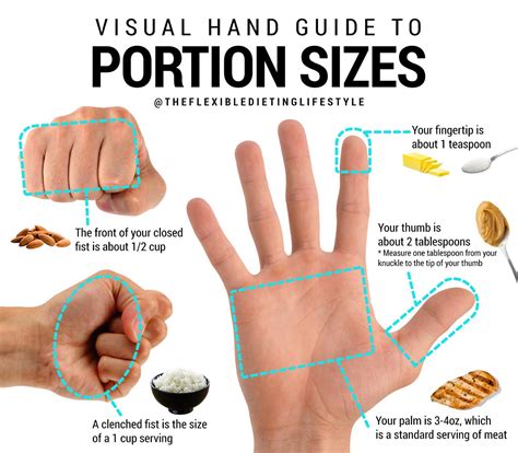 Visual Hand Guide to Portion Sizes | by Zach Rocheleau | Medium
