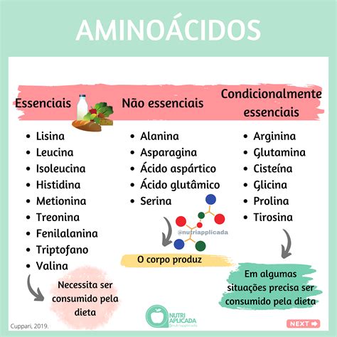 Os Aminoácidos Podem Ser Classificados Conforme A Natureza