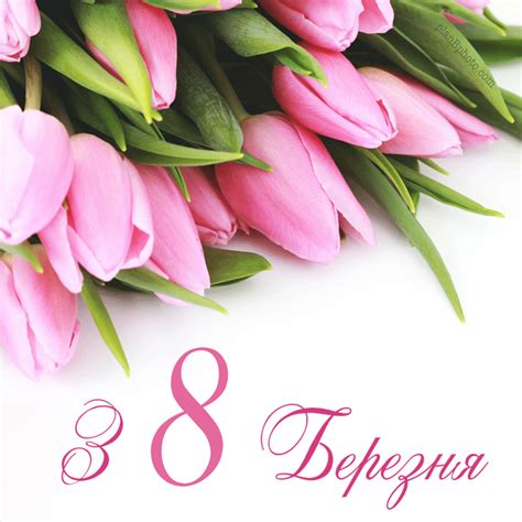 Анімація з Восьмим березня красива листівка з тюльпанами