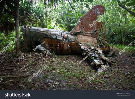 The Tail Of An Old Plane Crash Slowly Dissolves As The Jungle On The