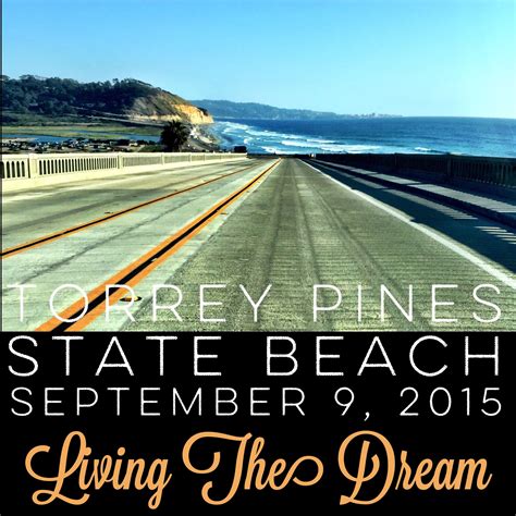 Living the dream in San Diego | San diego, Torrey pines, Torrey