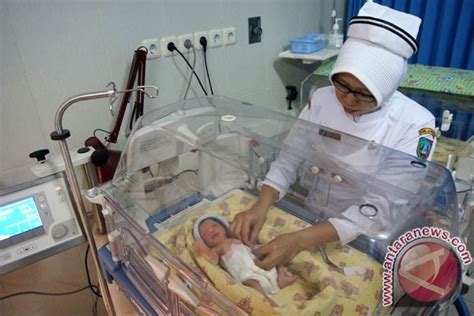 Enam Bayi Surabaya Lahir Di Tahun Kabisat Antara News