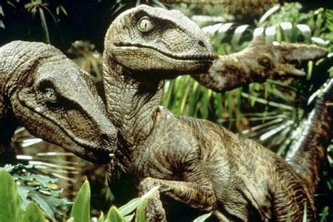 Velociraptor Wiki Pré História Amino Amino
