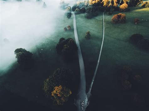 Aerial View Of Green Trees Nature Landscape Road Trees Hd Wallpaper