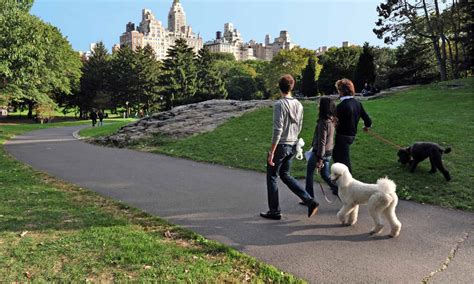 The 12 Best Dog Parks In New York City Az Animals