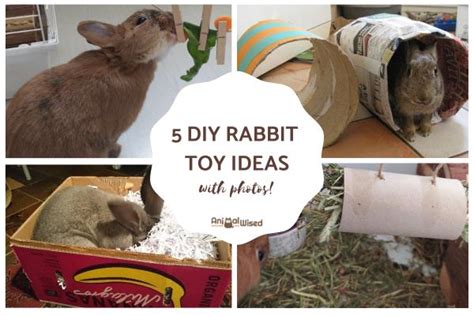 5 diy rabbit toy ideas easy guide with photos