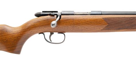 Remington 510 Targetmaster Smoothbore 22sllr R30430