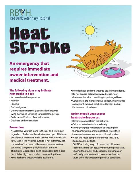 Another website on feline stroke and symptoms Learn how to prevent heat stroke in your cat. | Pet Care ...