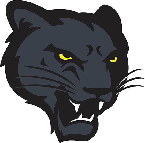 Black Panther Head Mascot Design Vector Art Illustration Sports