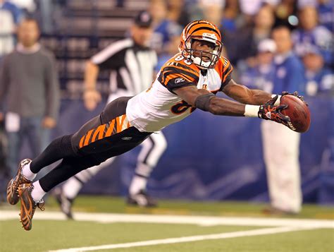 Chad Ochocinco Has Evelyn Lozada Ruined The Bengals Football Career