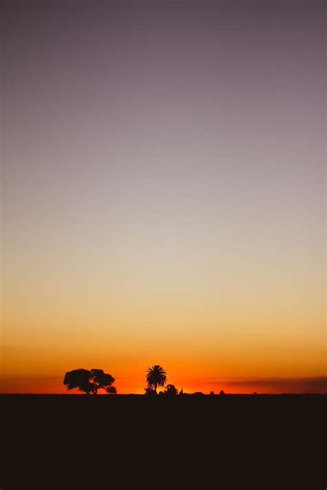 Sunset Twilight Dark Trees Horizon Hd Phone Wallpaper Peakpx