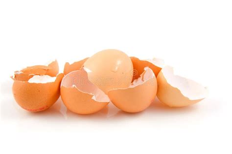 Lots Of Broken Egg Shells Stock Photo Image Of Isolated 10883480