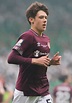 McAvennie warns Rangers target Hickey not to follow same path as Hastie ...