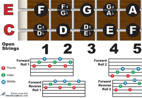 Laminated 85x11 Lap Steel C6 Tuning Wall Chart Poster Notes Rolls