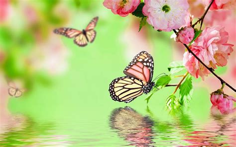 Suchen sie in stockfotos und lizenzfreien bildern zum thema ipad hintergrundbilder von istock. Schmetterlinge Und Blumen Im Fruhling | Ipad Air ...