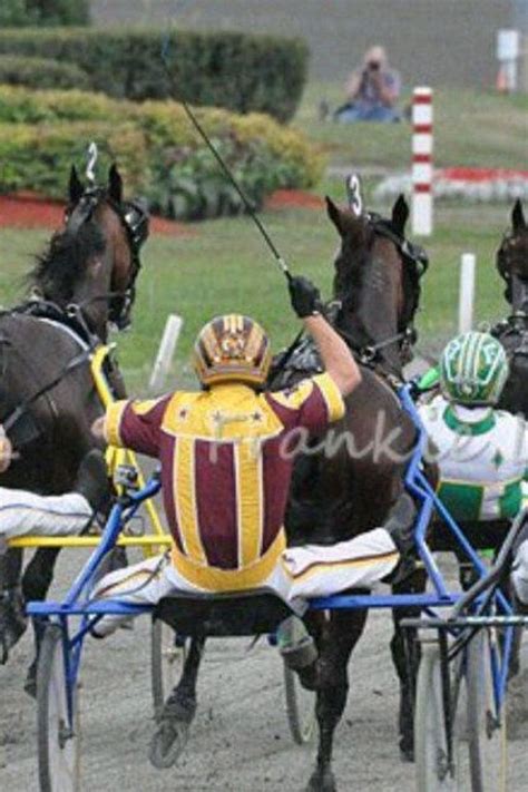 Pin By Vanessa On Harness Racing Harness Racing Horses Animals