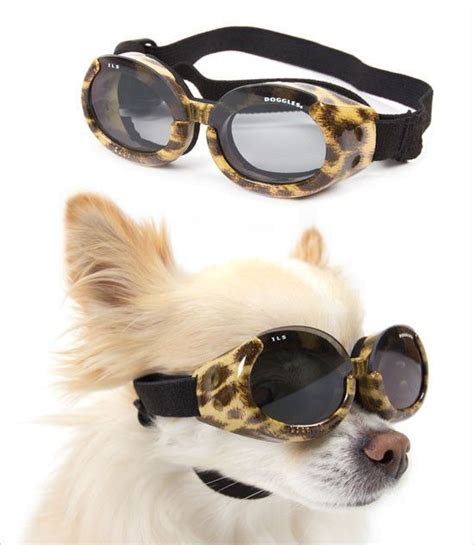 Chic Leopard Print Dog Goggles For The Active Dog Lifestyle Doggles