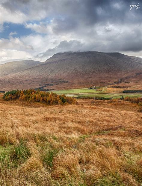 Near Far Grass Tree Mountain Clouds Scotland At Flickr