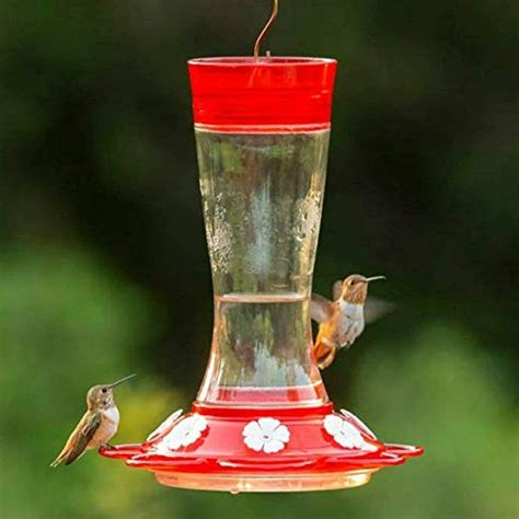 Take a sneak peak at the movies coming out this week (8/12) 5 new movie trailers we're excited about Hummingbird Replacement Flowers for for Hummingird Feeder