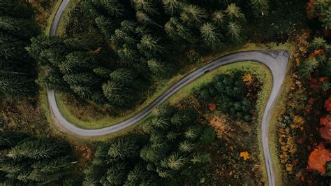 Download Wallpaper 2048x1152 Forest Road Aerial View Turn Trees