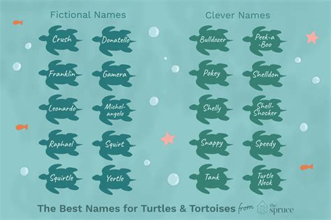 أسماء السلاحف والحيوانات الأليفة والسلاحف الحيوانات الأليفة الغريبة