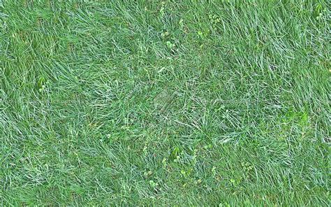 Green Grass Texture Seamless 13035