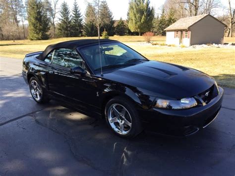2003 Ford Svt Mustang Cobra Convertible For Sale Cc