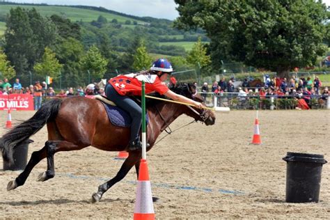 Action From The World Mounted Games Millstreetie