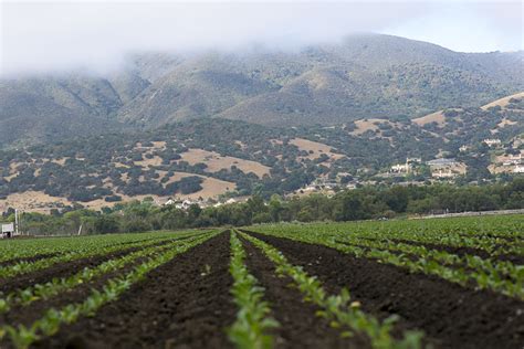 The Invisible Dance Of The Salinas Valley Fresh Avenue