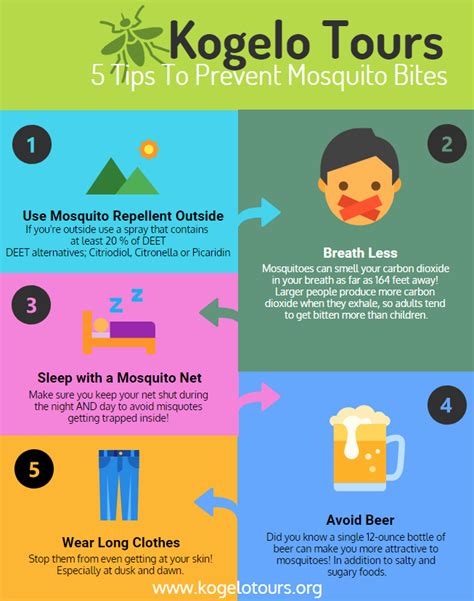 5 Tips To Prevent Mosquito Bites Kogelo Tours