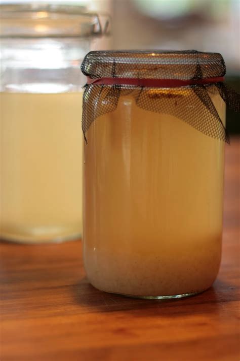 Lempo Bee: Brewing water kefir