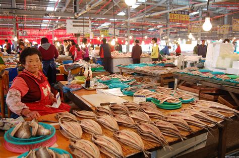 Photo Fish Market In Jeju South Korea Susan Shain