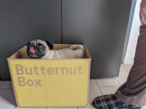 When Your Favourite Dog Food Has Been Delivered Rpugs