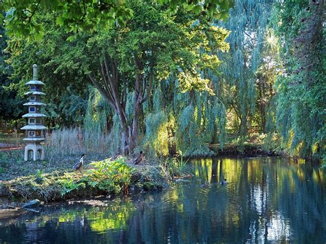 Peaceful Oasis Japanese Garden Lake Photograph By Gill Billington