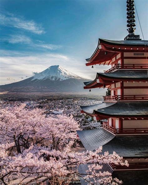 日本 の 美しい 風景 写真 館 Molly Kelly