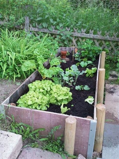 Ein hochbeet schmückt den garten und ist bequem zu pflegen. Hochbeet | Garten, Hochbeet, Beete