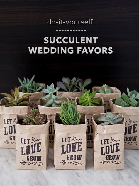 Omg These Diy Let Love Grow Succulent Wedding Favors