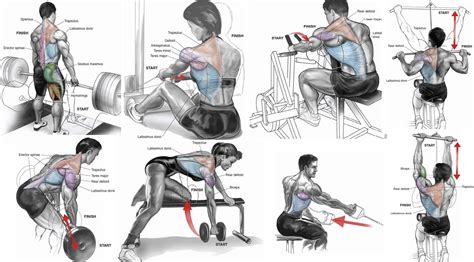 The Best Upper Back Workout For Mass Multiple Fitness