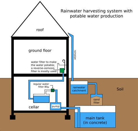 What Is Rainwater Harvesting Facts For Kids Wild Life And Nature