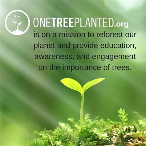 One Tree Planted Is On A Mission To Reforest Our Planet And Provide