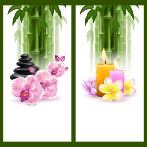 Pampering Orchid Illustrations Royalty Free Vector Graphics And Clip Art