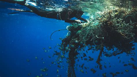 The Oceans Biggest Garbage Pile Is Full Of Floating Life The New