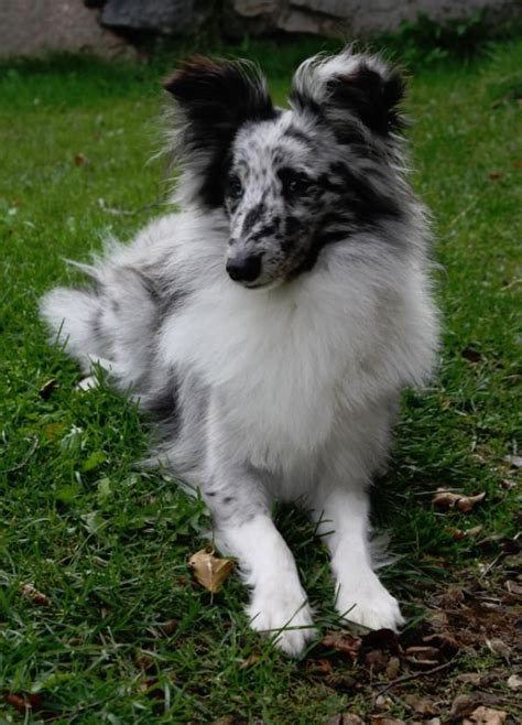 Check spelling or type a new query. Pinterest