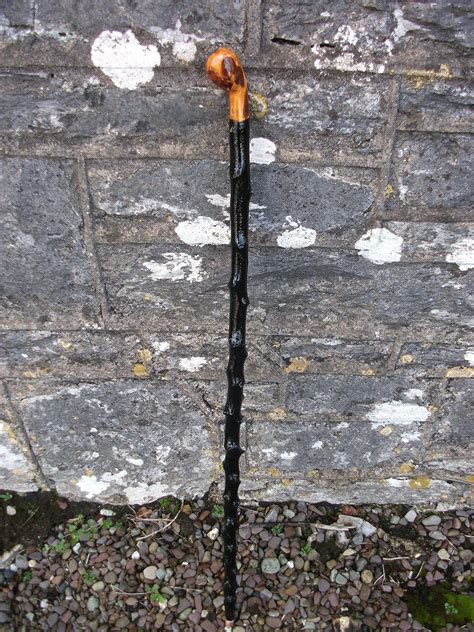 Lowest Price On Authentic Irish Blackthorn Walking Stick Blackthorn