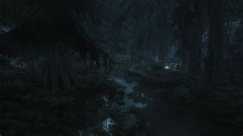 Night In The Forest At Skyrim Nexus Mods And Community