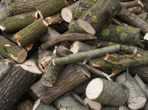 Brush Drop Off Timber Ridge Wood Products Your Local Landscape Supplier