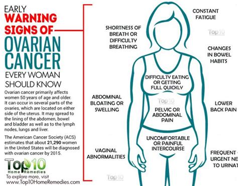 If you have a strong family history of breast or ovarian cancer, you may also be at an increased risk. Symptoms of ovarian cancer: Seven signs you could have the ...