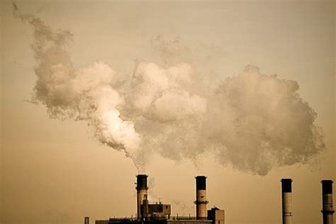 51 Facts About Pollution Conserve Energy Future