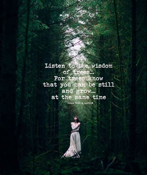 Listen To The Wisdom Of Tree Trees Know That You Can Be Still And Grow
