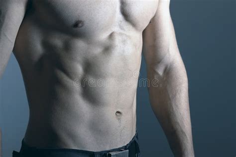 Fitness Model Torso Showing Man With Muscular Torso Stock Image